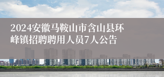 2024安徽马鞍山市含山县环峰镇招聘聘用人员7人公告